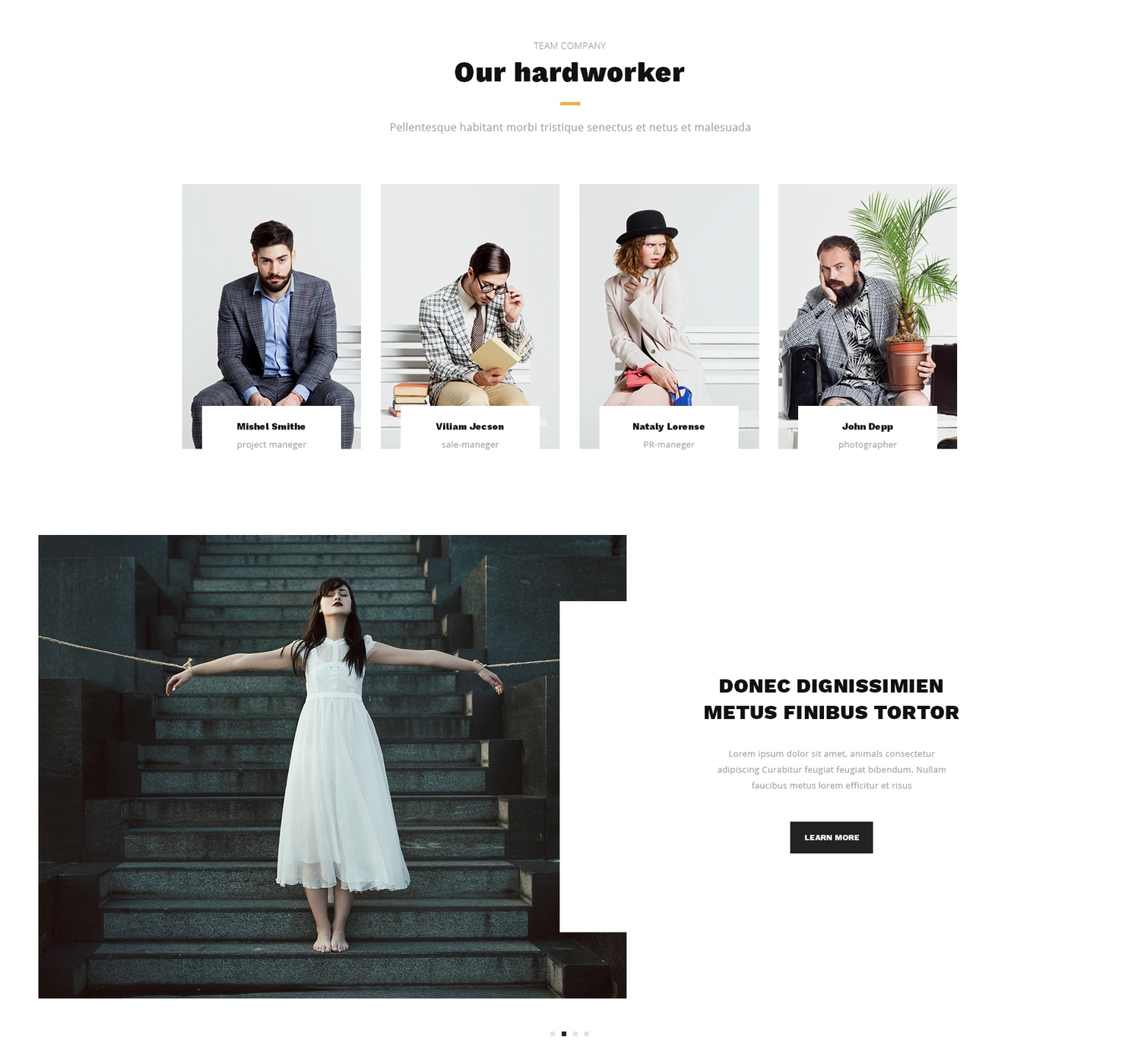 Mobile Bootstrap Website Theme