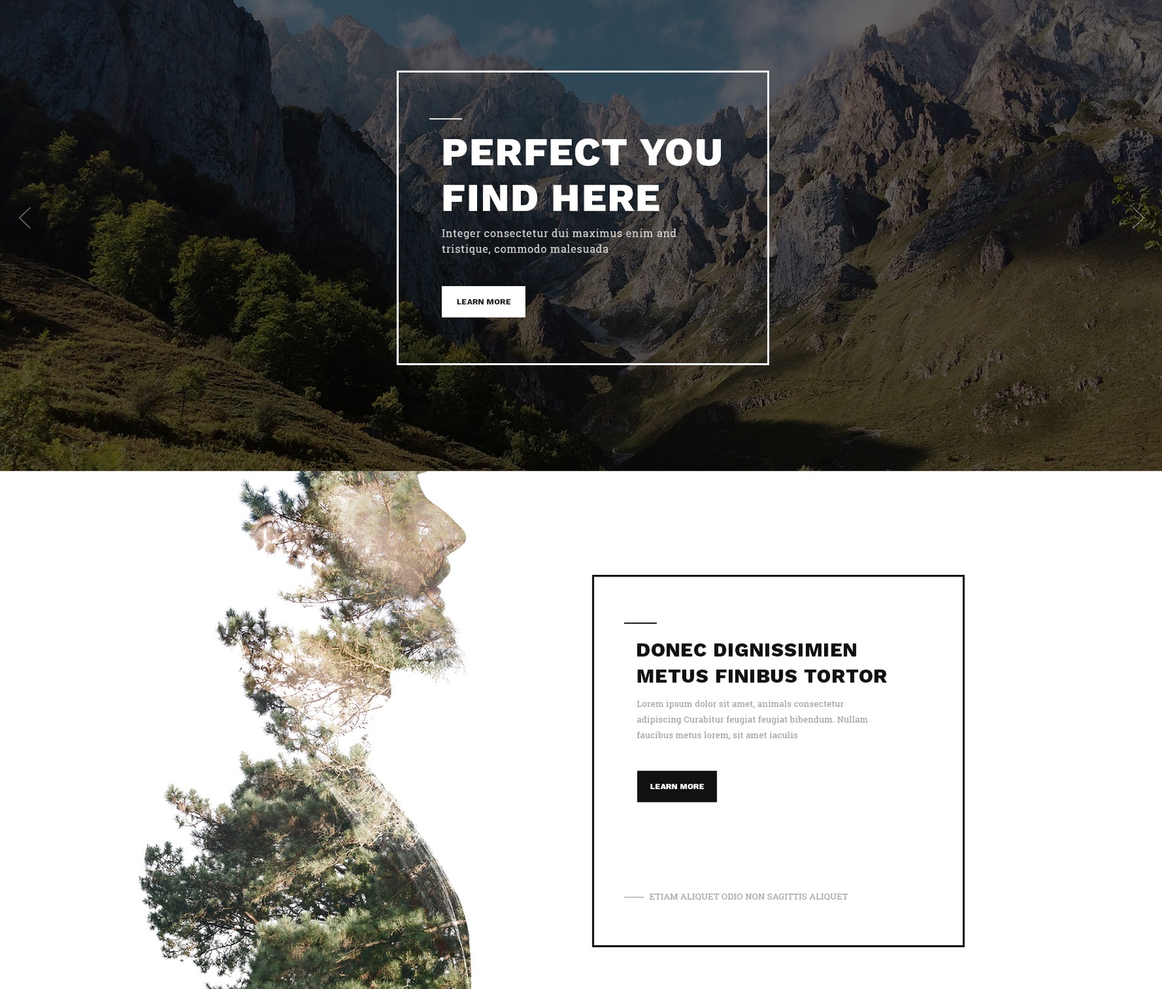 HTML Bootstrap Portfolio Theme